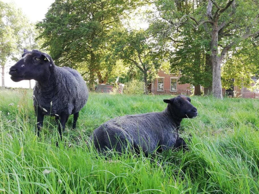 'T Pekelhuis - Vakantiehuisje Op Boerderij Huize Blokland Hem Eksteriør billede